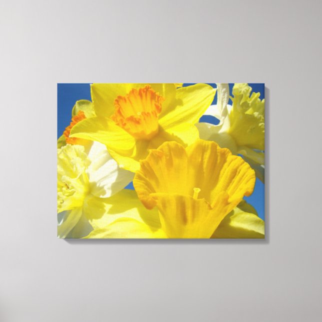 Impressões de fotografia em tela de Narciso Festa  (Frente)