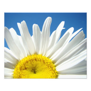 Impressões de Fotografia Floral da Natureza Decora