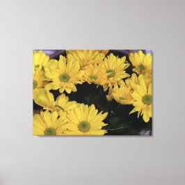 Impressões de Fotografias das Flores Amarelas Dais