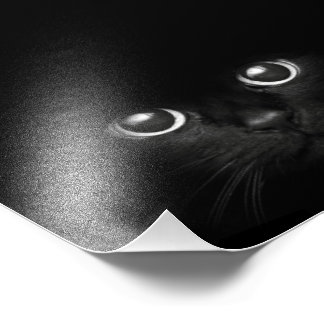 Impressões de Fotografias Personalizadas