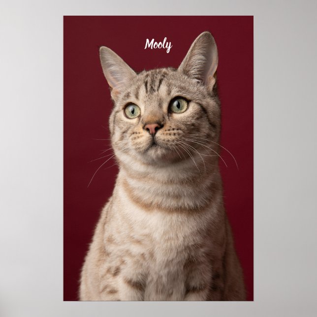 Impressões de Fotos Personalizadas com Nome de Cac (Frente)