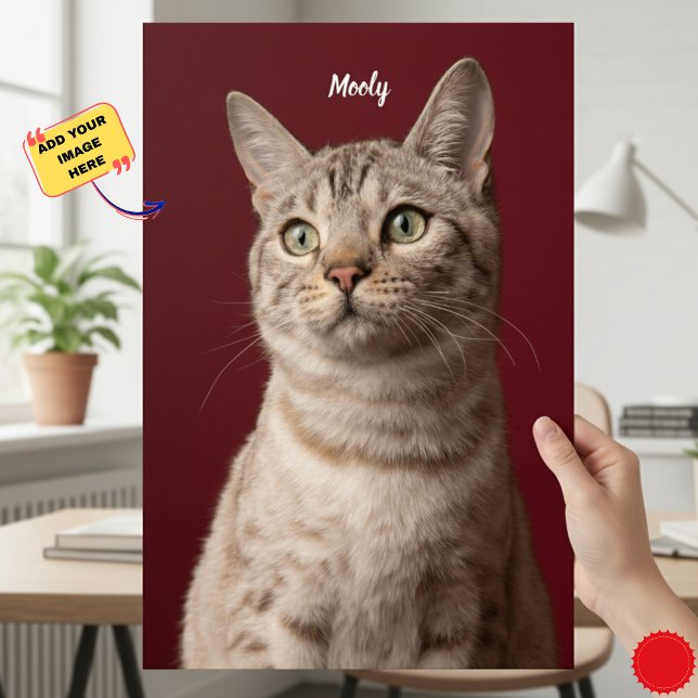 Impressões de Fotos Personalizadas com Nomes de Ca (Personalized Dog & Cat Name Photo Prints, Instant Poster)