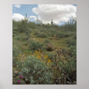 Impressões de Poster de Arte do Deserto de Sonora