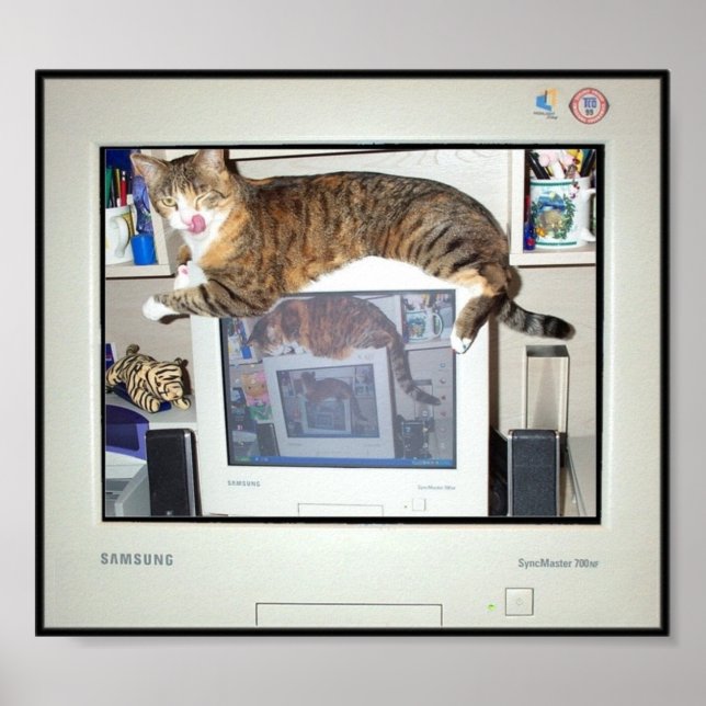 Impressões de proteção de ecrã (Frente)