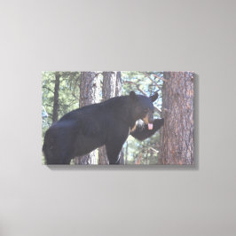 Impressões de tela de urso preto