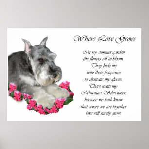 Impressões dos presentes da arte do Schnauzer