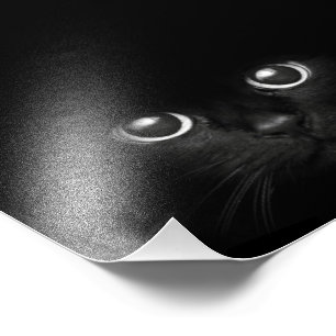 Impressões feitos sob encomenda da foto