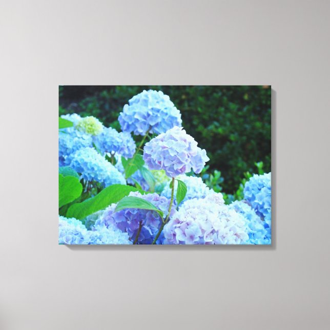 Impressões Florais de Tela de Hortênsias Azuis Per (Frente)