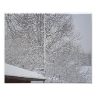 IMPRESSÕES FOTOGRAFIAS PERSONALIZADAS