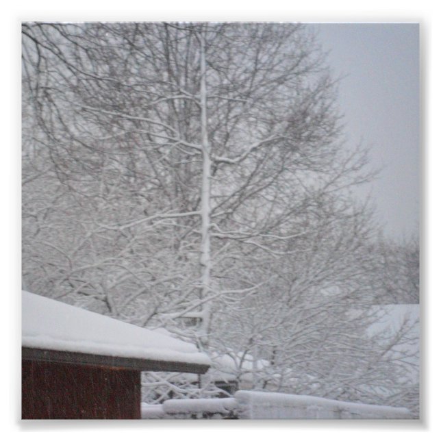 IMPRESSÕES FOTOGRAFIAS PERSONALIZADAS 6 X6 (Frente)