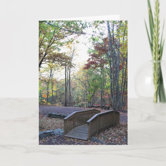 Incentivo através do cartão da viagem da vida (Frente)