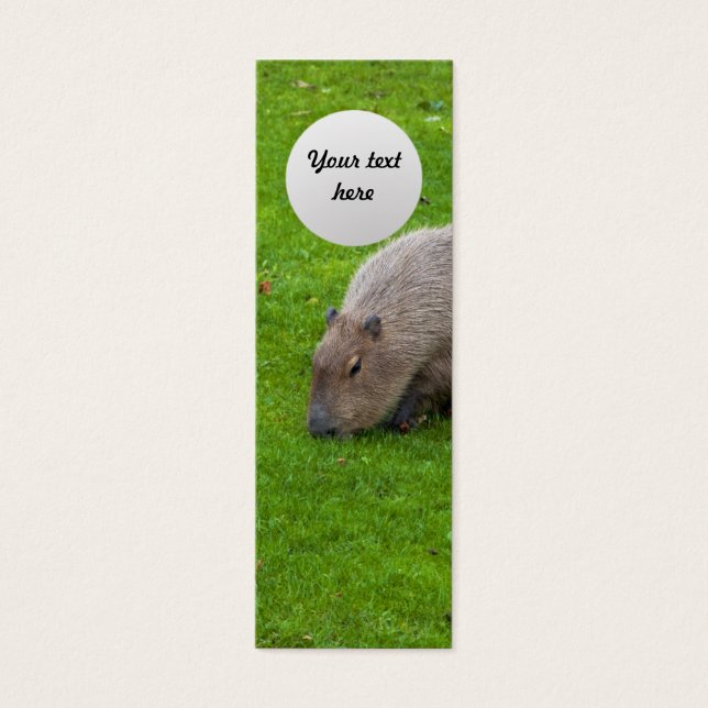 Incrível Capivara Animal (Frente)