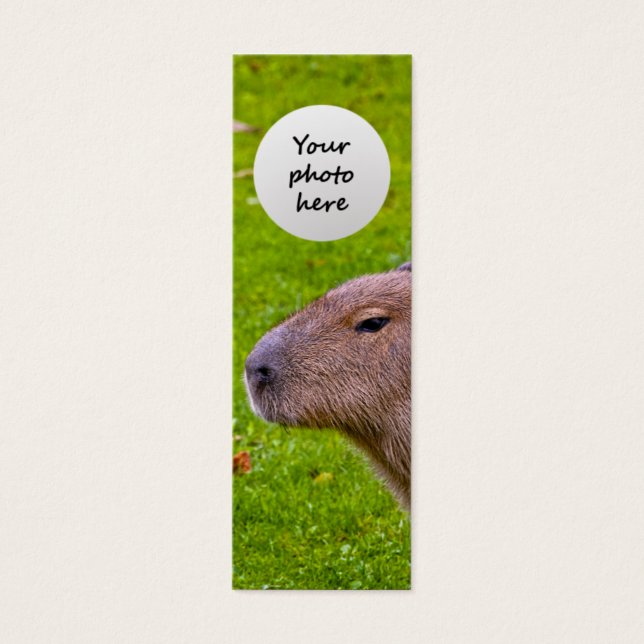 Incrível Capivara Animal (Frente)