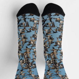 Incrível Patos de inverno no voo