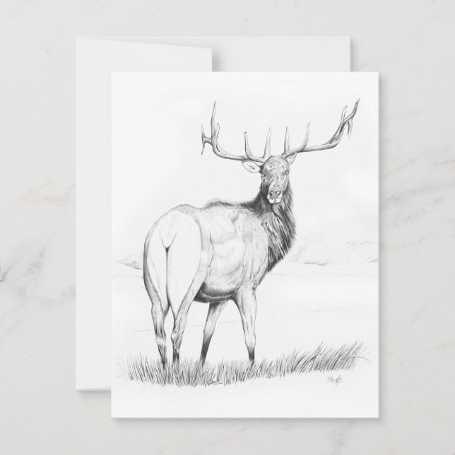 Indecisão - Convite 4,25" x 5,5" (Frente)