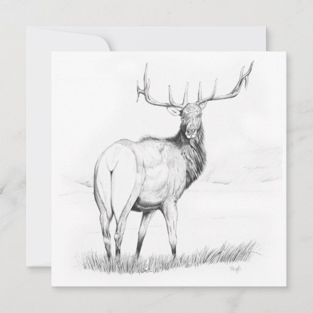 Indecisão - Convite de 5,25" x 5,25" (Frente)