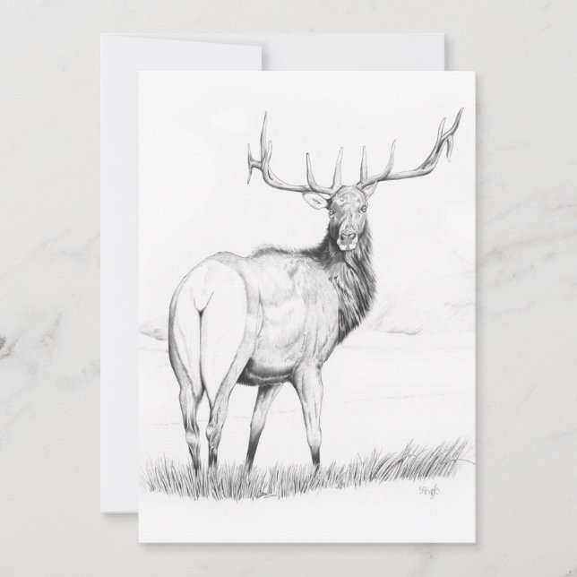 Indecisão - Convite de 5" x 7" (Frente)