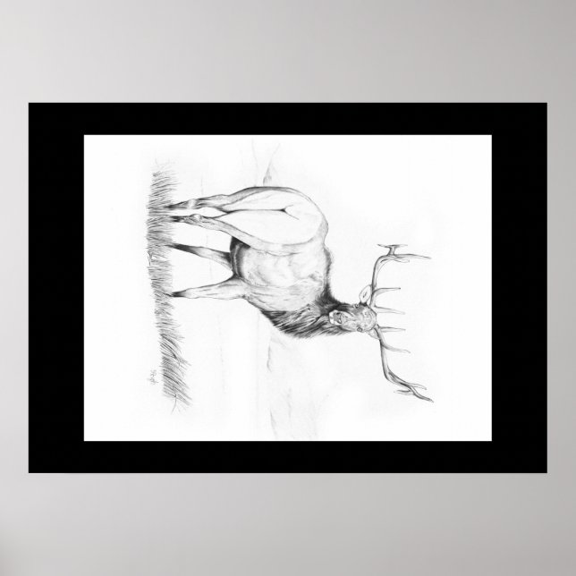 Indecisão ~ Elk Poster (Frente)