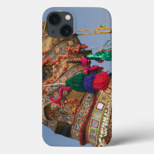 INDIA, Rajasthan, Pushkar: CAMELO DE PUSHKAR