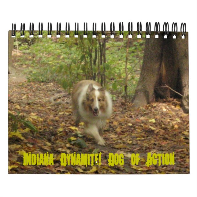 Indiana Dynamite! Calendário do Cão de Ação (Capa)