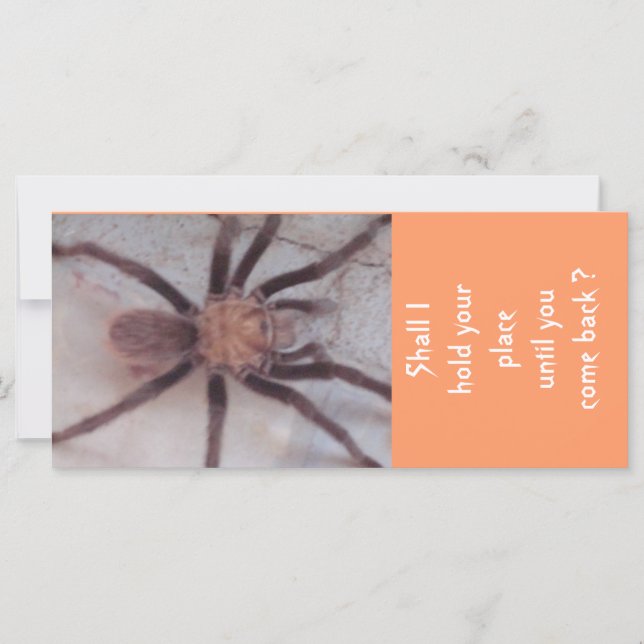 Indicador de Associação Arachnid (Frente)