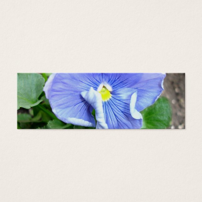 Indicador de Pansy Azul (Frente)