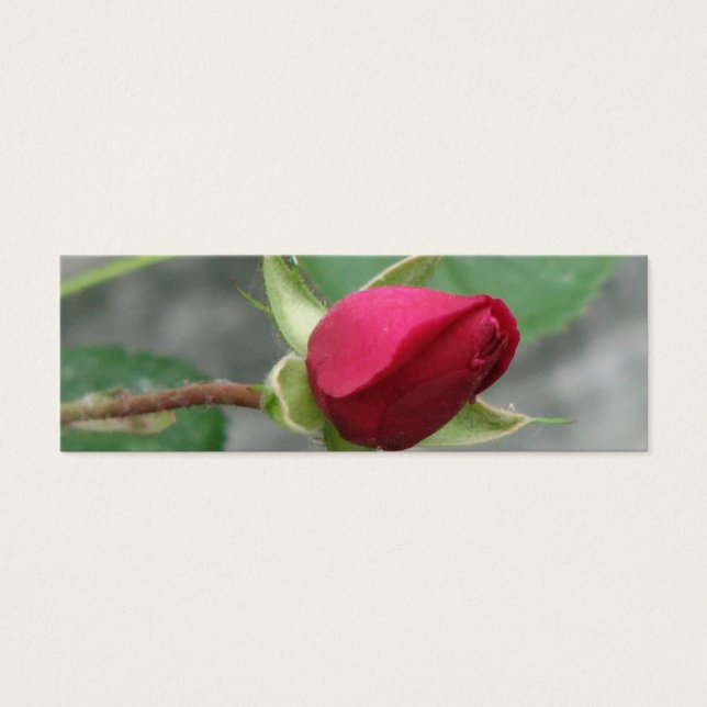 Indicador de Rosa bonito (Frente)