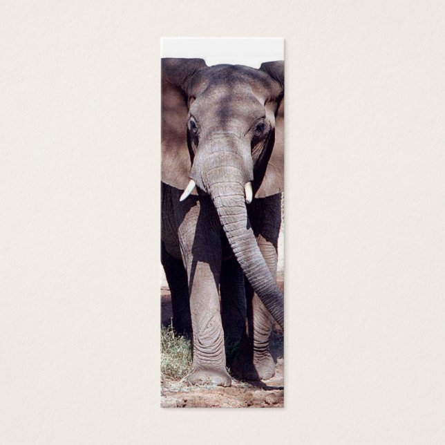 Indicador Elefante (Frente)