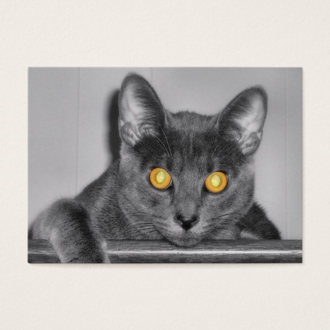 Indicadores Dourados (Frente)