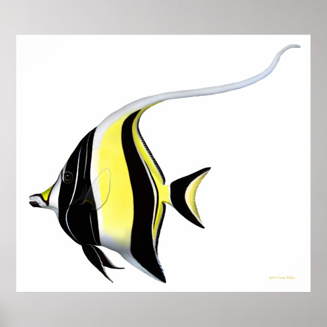 Indo Pacific Reef Moord Idol Fish Poster (Frente)