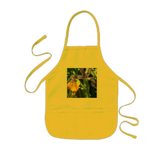 Infantil Avental amarelo de Sun com tema do jardim da íris