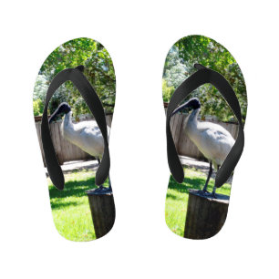 Infantis Chinelos para crianças do iBIS (caixa Chicken)