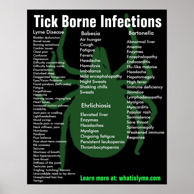 Infecções por carraças Sintomas Poster educacional (Frente)