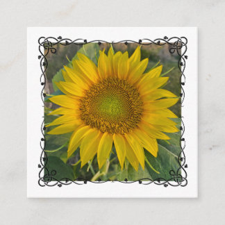 Informações Cartão de Enclausuramento