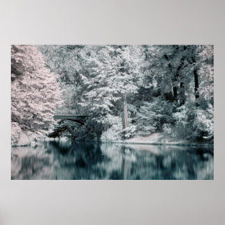 Infrared, Garden, Poster de Paris