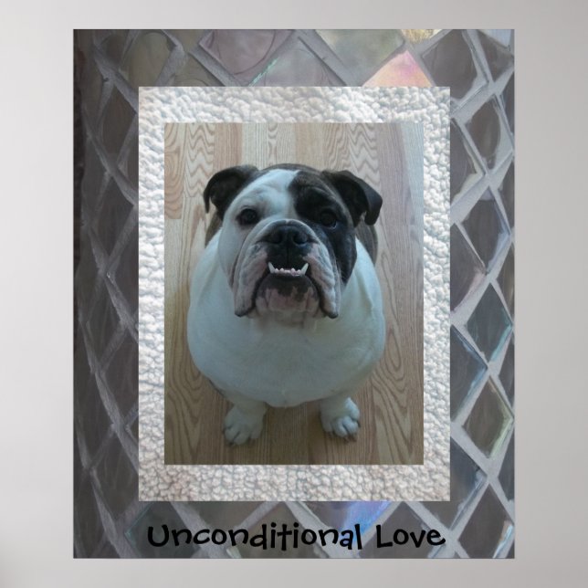 Inglês Bulldog Puppy Poster "Uncondicional Love" (Frente)