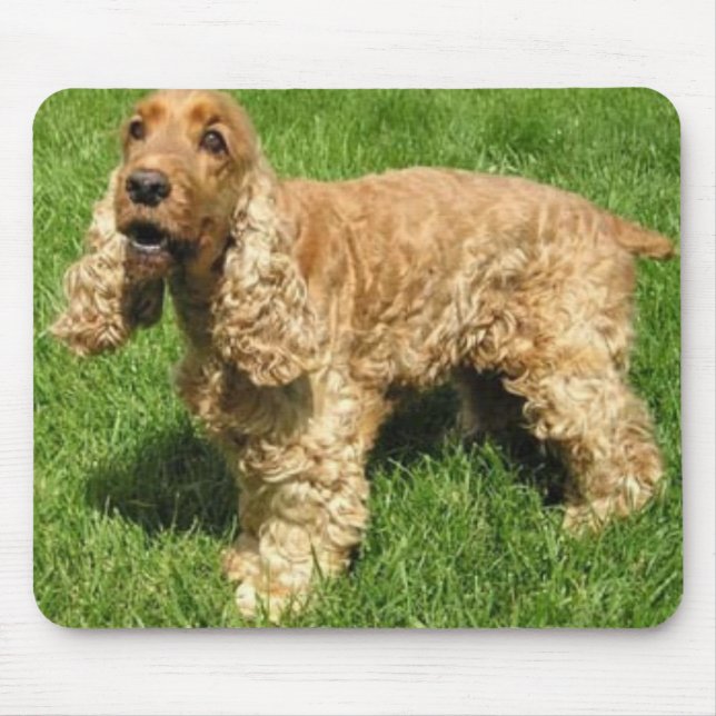 Inglês cocker spaniel Mousepad (Frente)