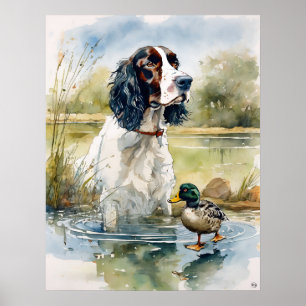 Inglês Springer Spaniel - Impressão de Arte Canina