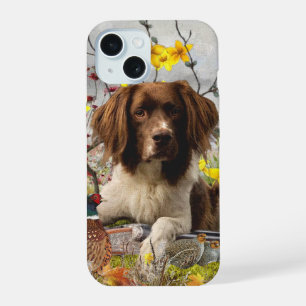 Inglês Springer Spaniels, Arte