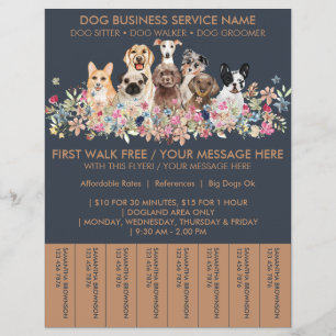Ingressos para Panfleto de Passeador de Cães de Ra