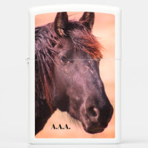 INICIALIZAÇÃO PERSONALIZADA MAIS Leve do Bolso Bra