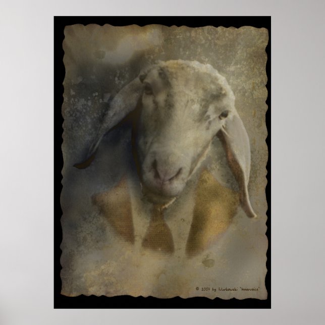 Innervosismo - Poster (Frente)