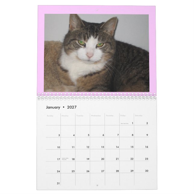 Inquietação com o calendário de parede das (Jan 2027)