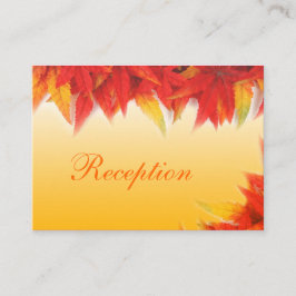 Inserções elegantes e bonito de recepção de casame