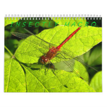 Insetar Calendário de Fotografia de Macro