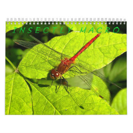 Insetar Calendário de Fotografia de Macro