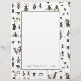 Inseto de Vintage exclusivo e Padrão de Insetos