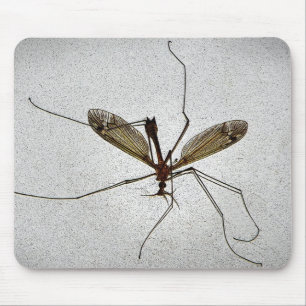 Inseto Mousepad da mosca de guindaste