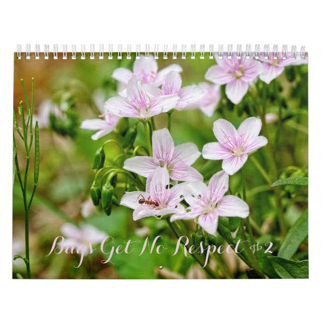 Insetos não respeitam calendário nº 2 (Capa)