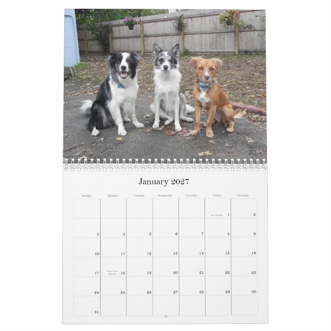 Instantâneos do calendário da fazenda engraçada (Jan 2027)